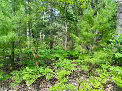 14560 Shoreline Dr, Wolverine, MI, 49799
