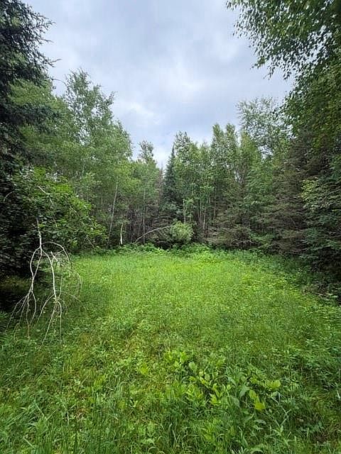 1st image of 20 Acres S 5th Avenue