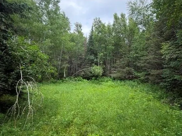 20 Acres S 5th Avenue, Trego, WI 54888