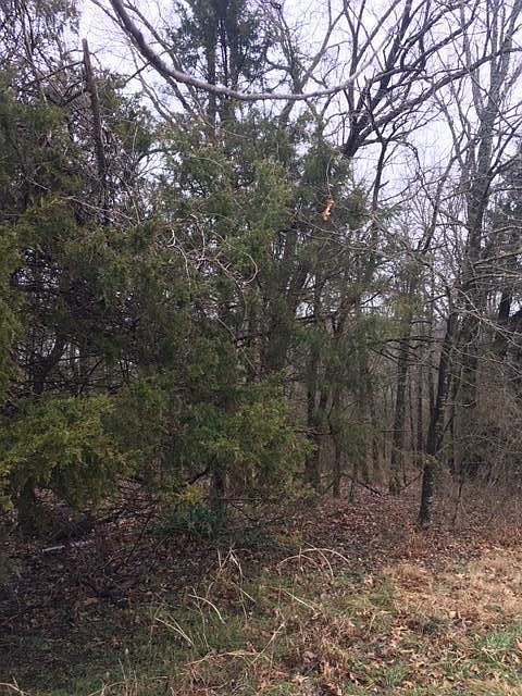 1st image of LOT 21 Blue Water Village #St Hwy Dd