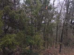LOT 21 Blue Water Village #ST HWY DD, Branson West, MO 65737