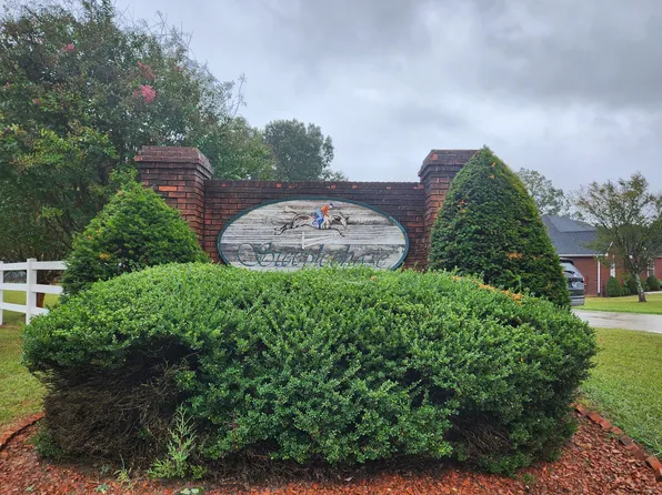 17 N Steeplechase Dr, McMinnville, TN 37110