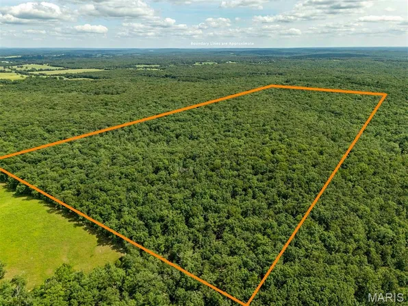0 Fire Tower Rd, Steelville, MO 65565