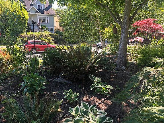 front yard in May