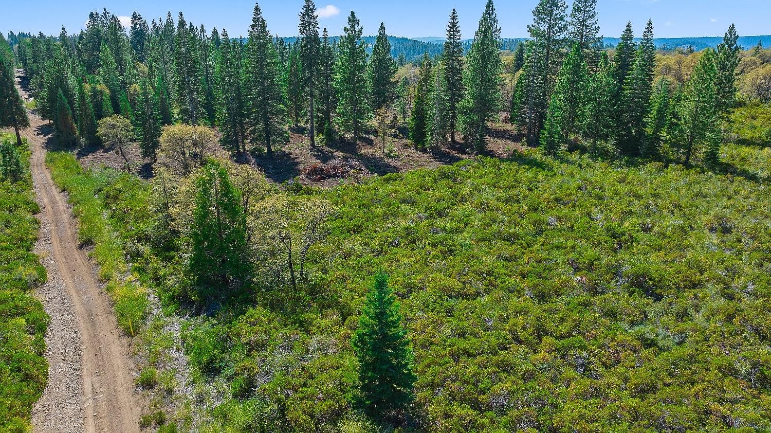 0 Kearsarge Mill Rd 0, Emigrant Gap, CA 95715 MLS 224052366 Zillow