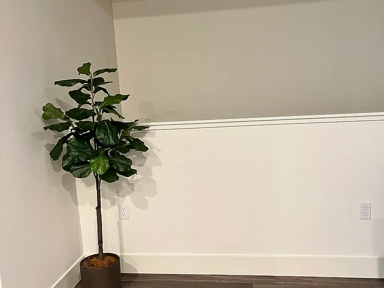 5925 Charlotte Dr #208 — Photo 5