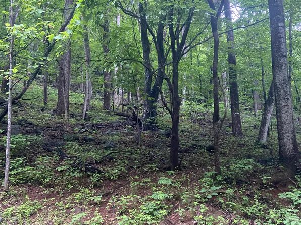 0 Sawmill Rd #12, Bedford, VA 24523