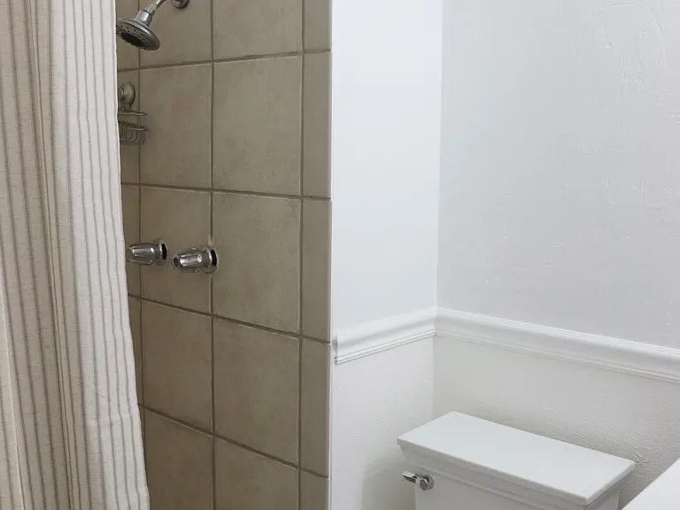 Primary bathroom, walk-in shower, new shower head.