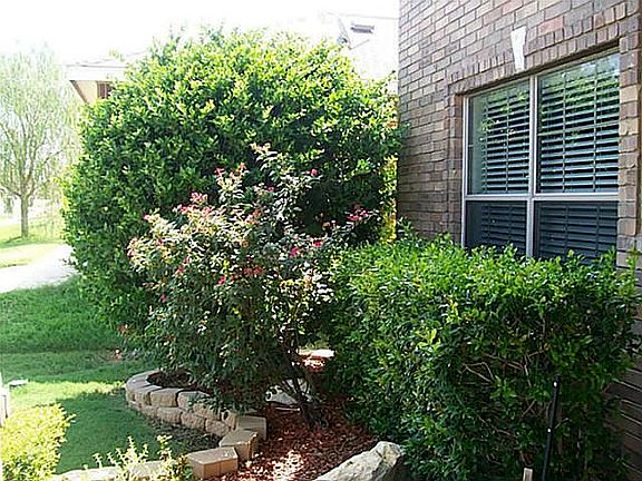 4th image of 605 Bent Oak Dr