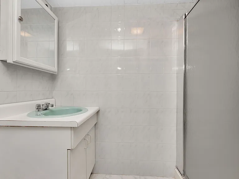 Basement Bathroom