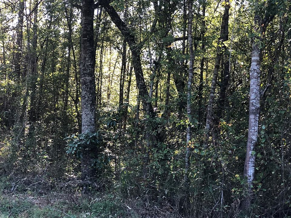 2nd image of 40 County Road 1846