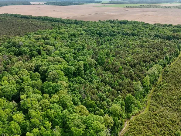 0 Ashley Rd #196, Hamburg, AR 71646