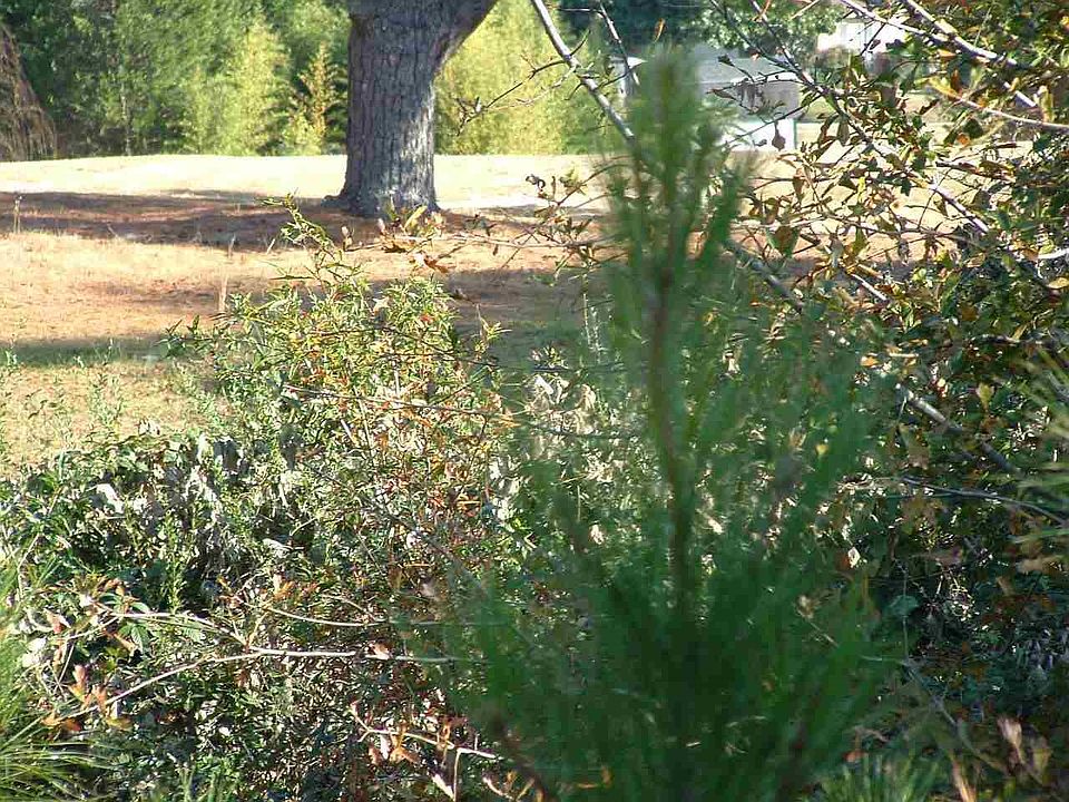 2nd image of Jones Rd