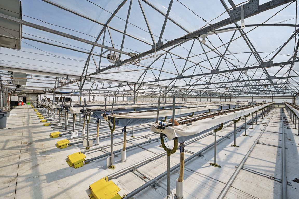 next background image