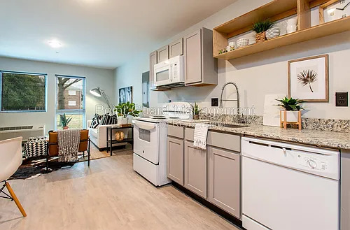 Floor plan 1 Bedroom 1 Bath