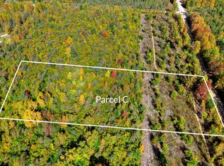 PARCEL S Weldon Rd #C, Beulah, MI 49617