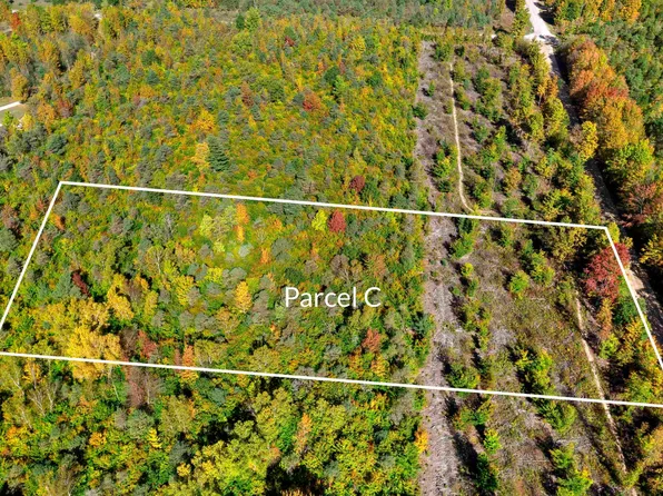PARCEL S Weldon Rd #C, Beulah, MI 49617