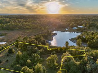 211 VILLAGE Drive, Welaka, FL 32193