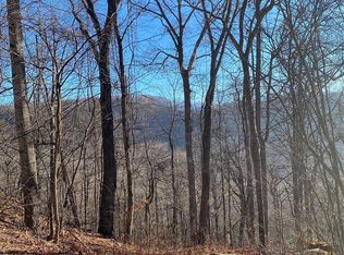 0 Wash Freeman Rd, Hendersonville, NC 28792