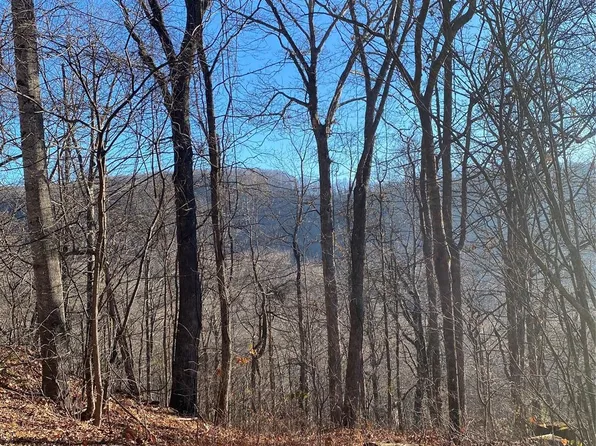 0 Wash Freeman Rd, Hendersonville, NC 28792