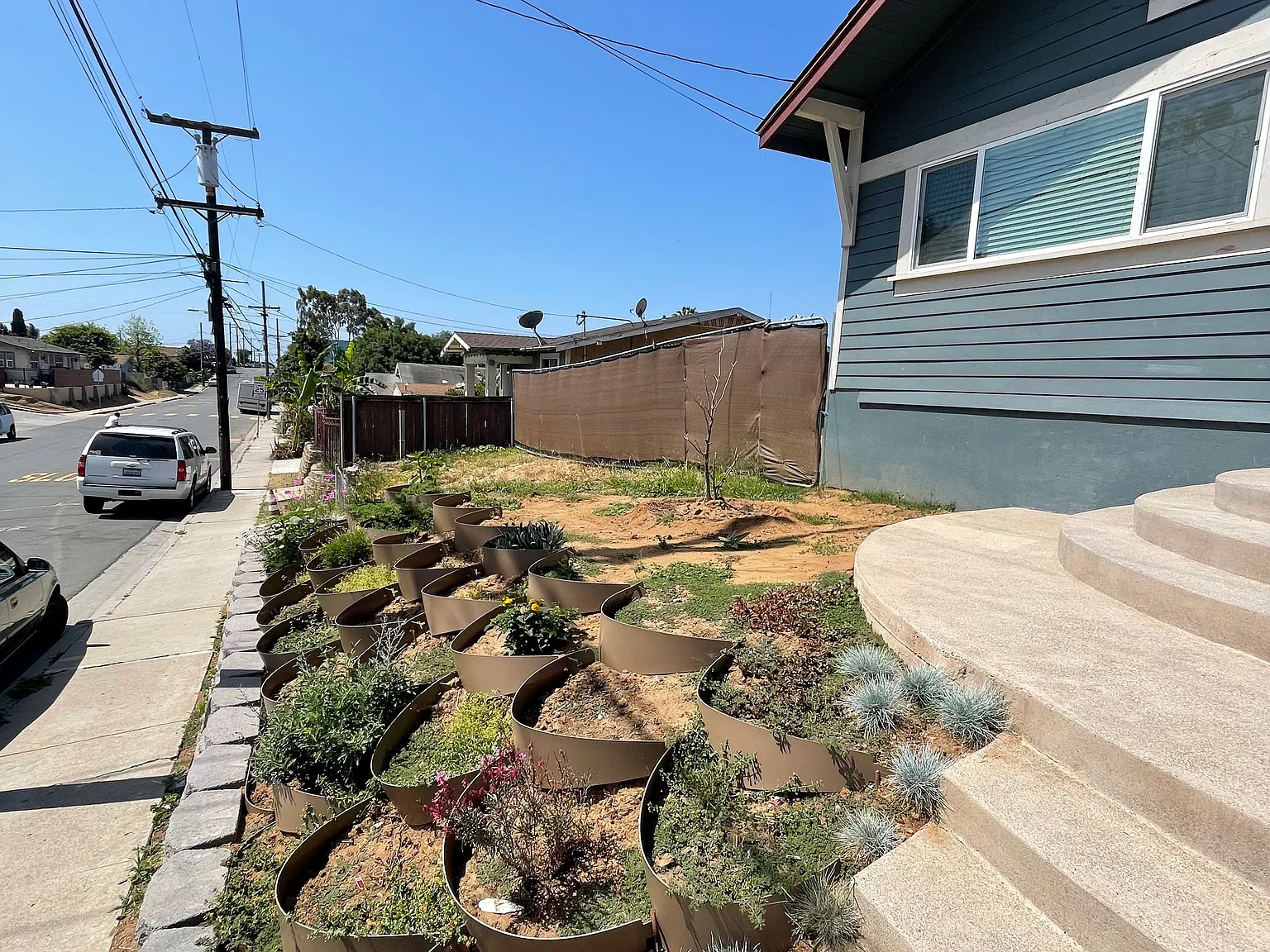 3 bed, 1237 sqft, $2,600 — Photo 3