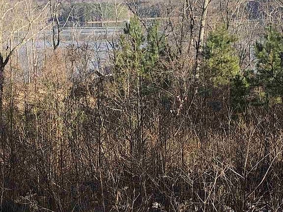 5th image of Lookout Mountain Dr