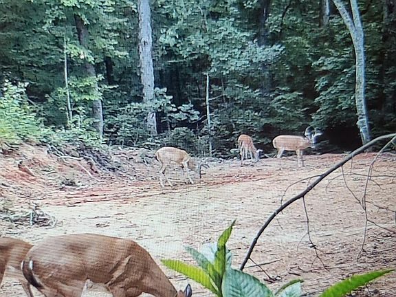 2nd image of 0 Swanson Rd