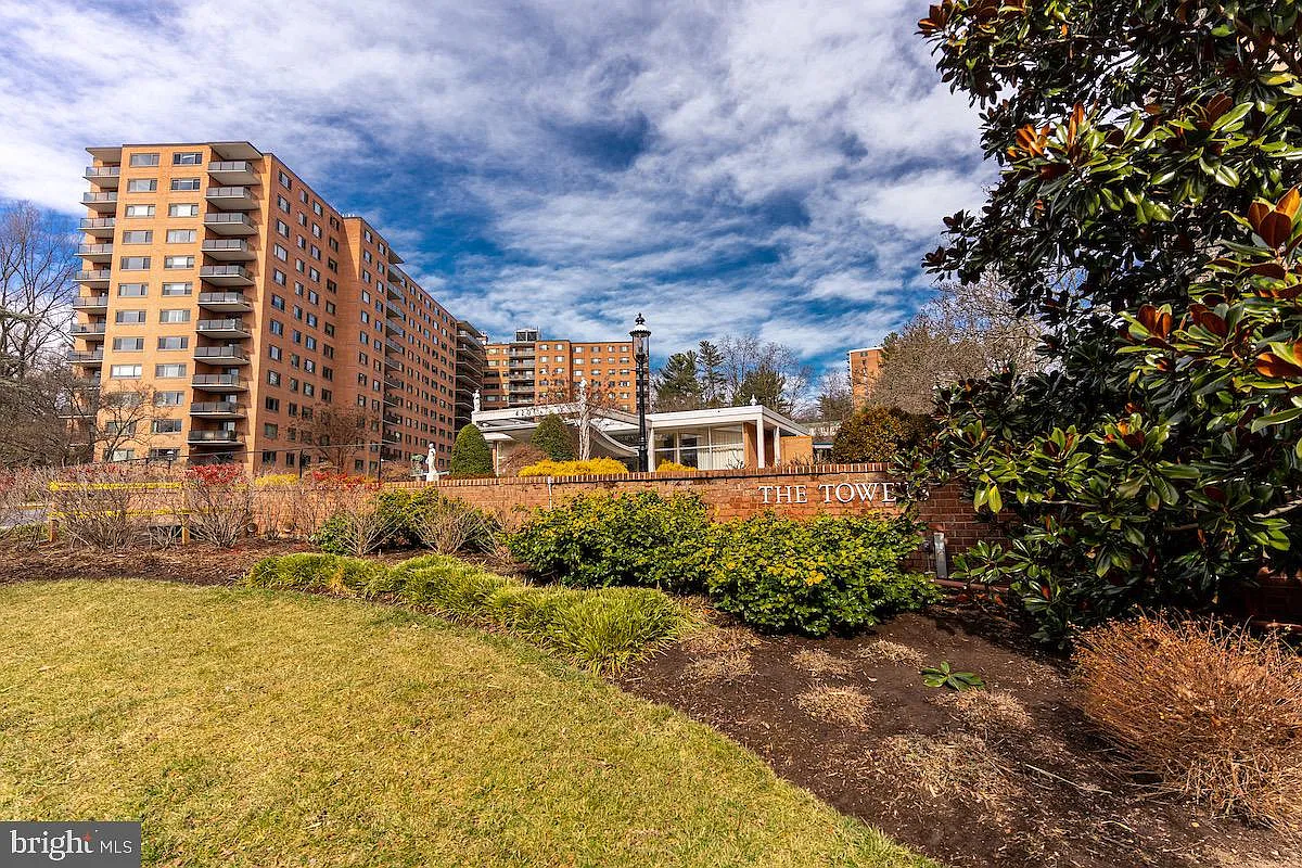 2 bed, 1.0 bath, 900 sqft, $3,800 — Photo 2