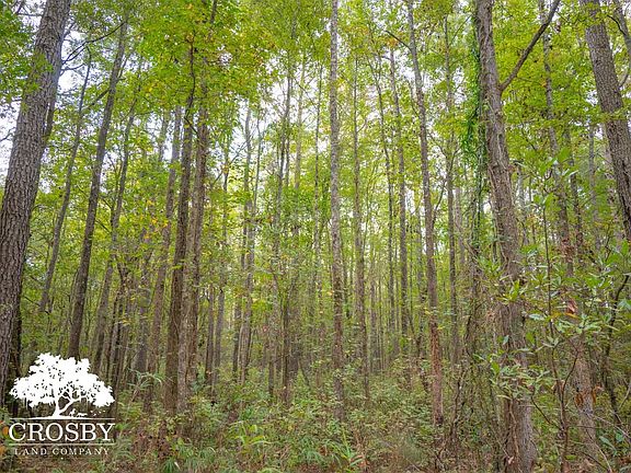 2nd image of 106 Milhouse Rd