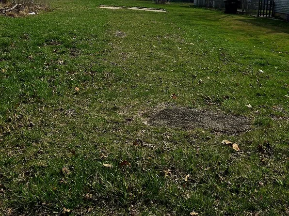 113 S Van Horn St, Braceville, IL 60407