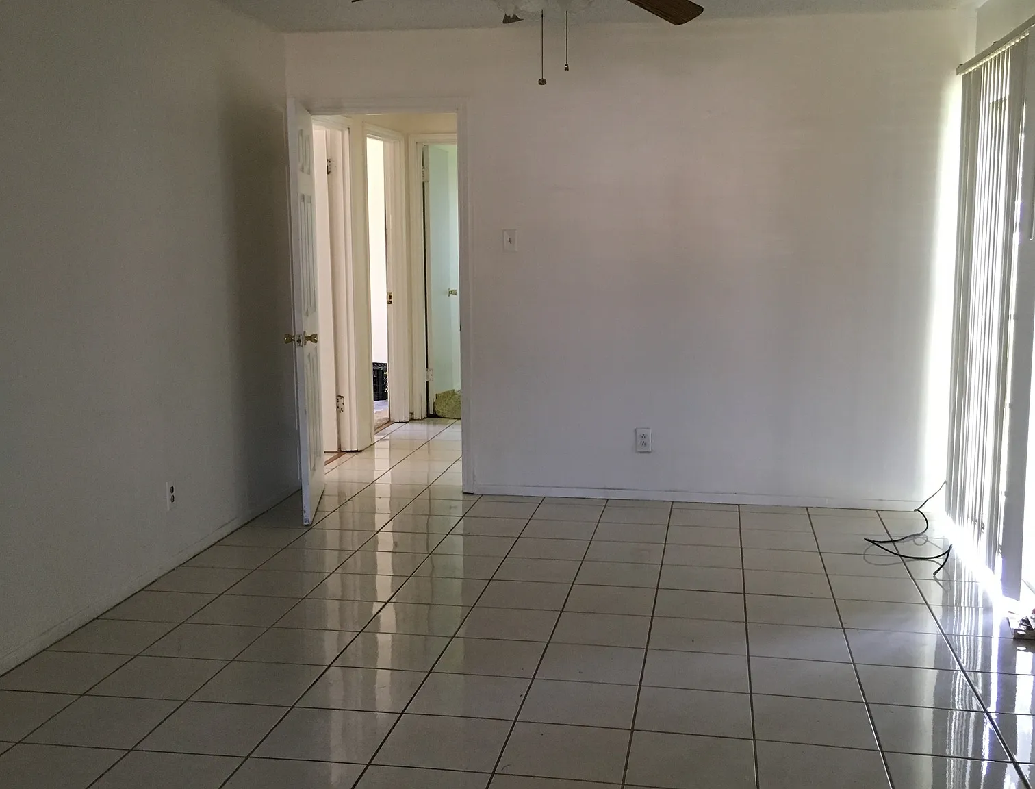 Dexter — Photo 4