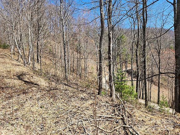 3rd image of 0 Hiking Trail Dr