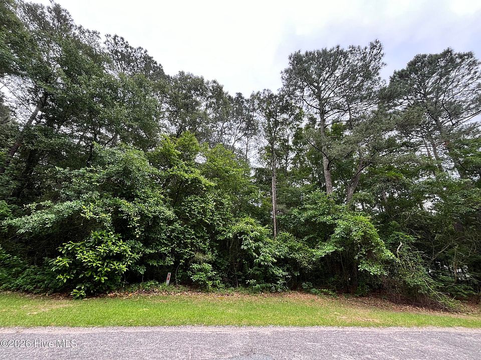 2nd image of 102 Hollybrook Lane