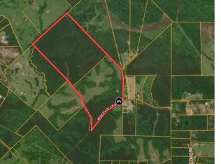 PARCEL Fenley Flat Rd #30383, Pollok, TX 75969