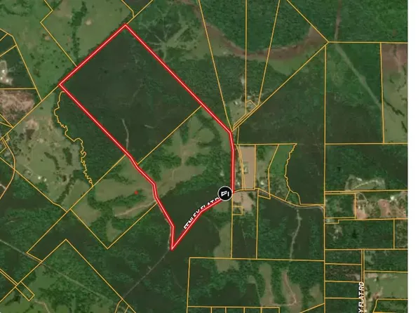 PARCEL Fenley Flat Rd #30383, Pollok, TX 75969