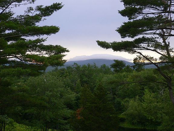 View from Breakfast Nook 1