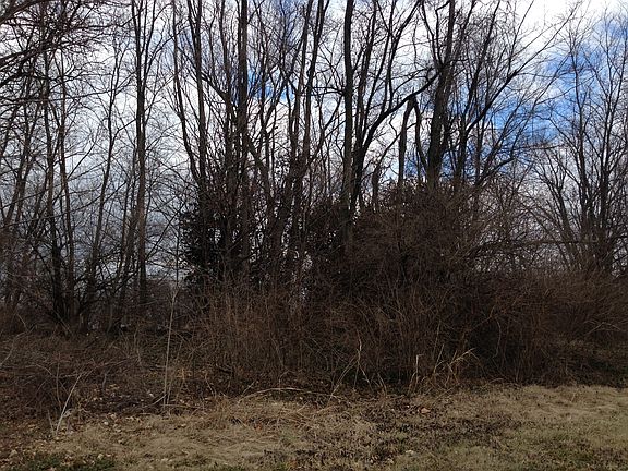 View From Harlan Rd
