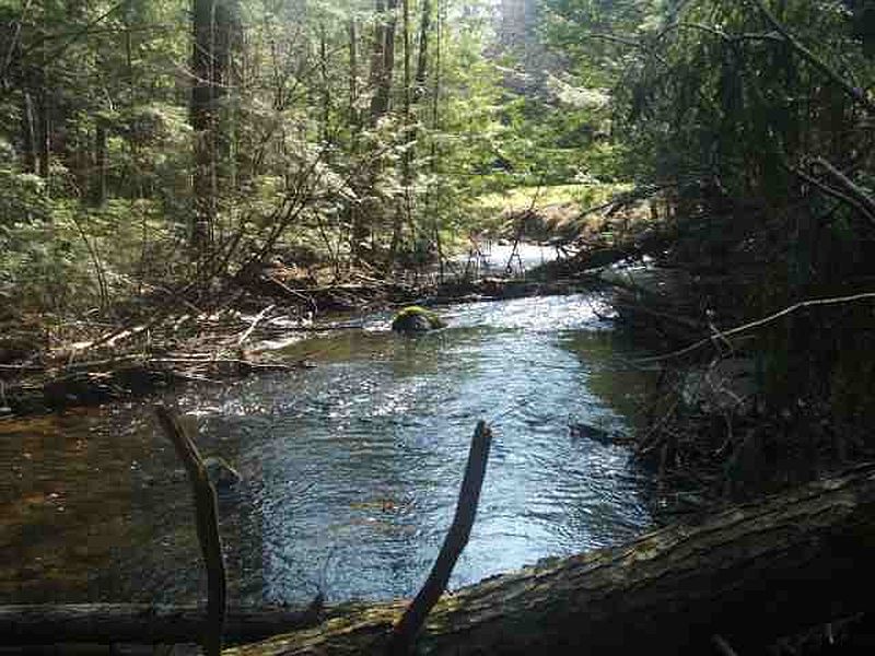 5th image of 5830 FABER Road