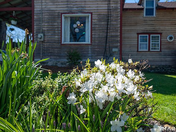 5th image of 91 Amenia Road