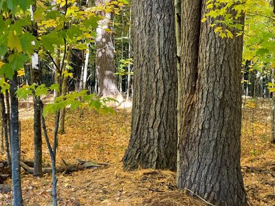 262XX Taylor Rd, Deerwood, MN, 56444