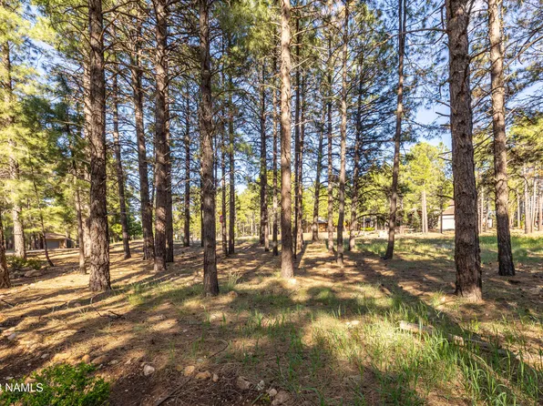 4545 N Doral Way, Flagstaff, AZ 86004