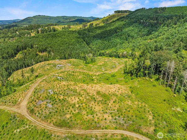 0 Lot C Holcomb Road, Kelso, WA 98626