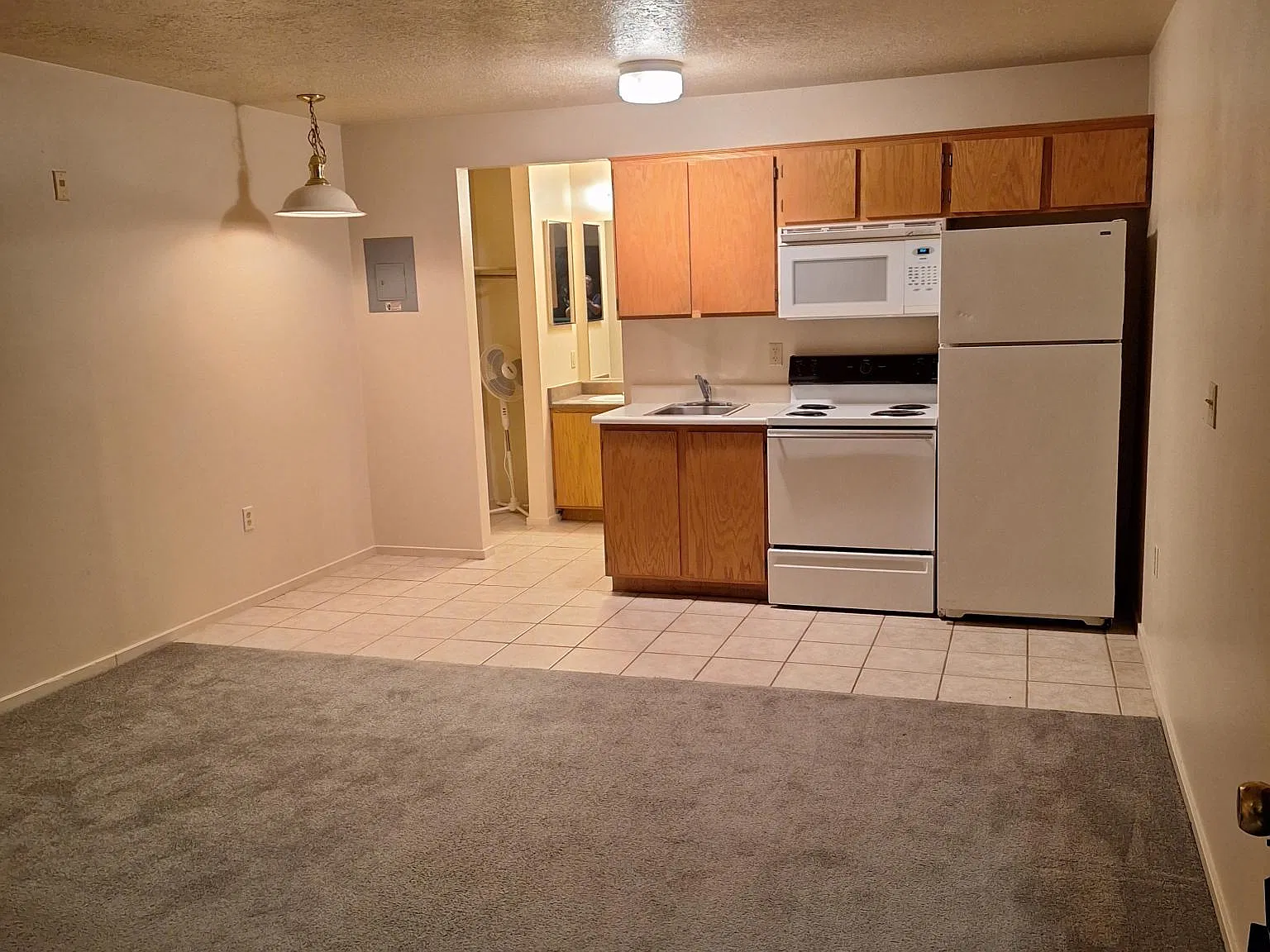 Studio, 335 sqft, $835 — Photo 2