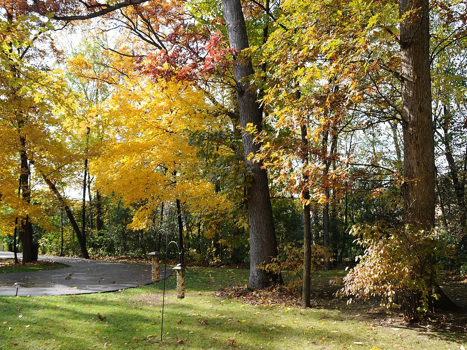 1st image of 421 Oak Meadows Dr