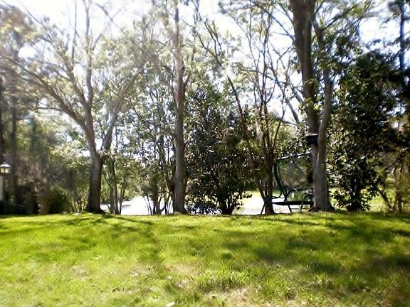 Park like back yard / View of the pond