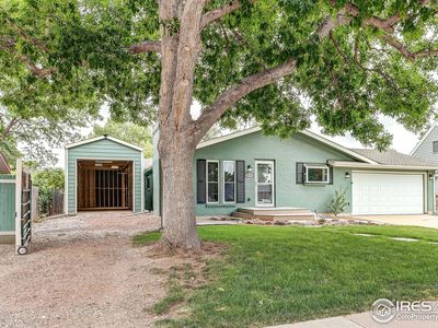 3115 Custer Ave, Loveland, CO, 80538