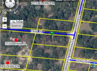 6469 Norman St, Webster, FL 33597