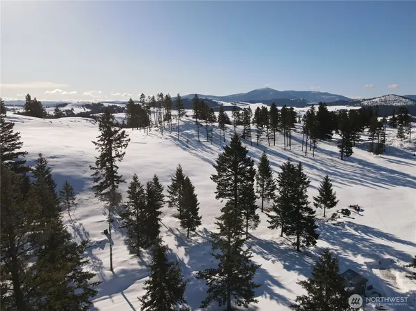 100 TBD S Teal Lake Road, Oroville, WA 98844