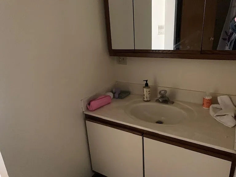 230 W Lakelawn Pl — Photo 24