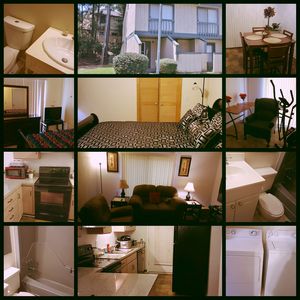 225 Timber Ct, Columbia, SC, 29210